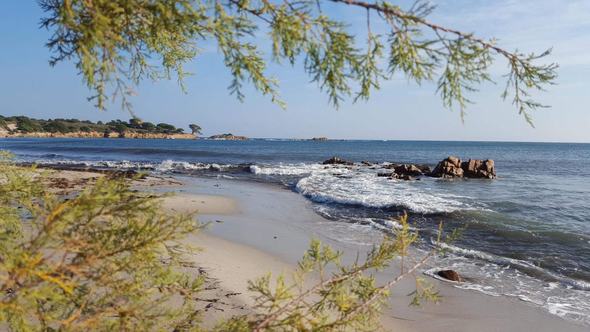 Locations Residence Rocca Rossa Palombaggia Classees 3 Etoiles Porto-Vecchio  Luaran gambar