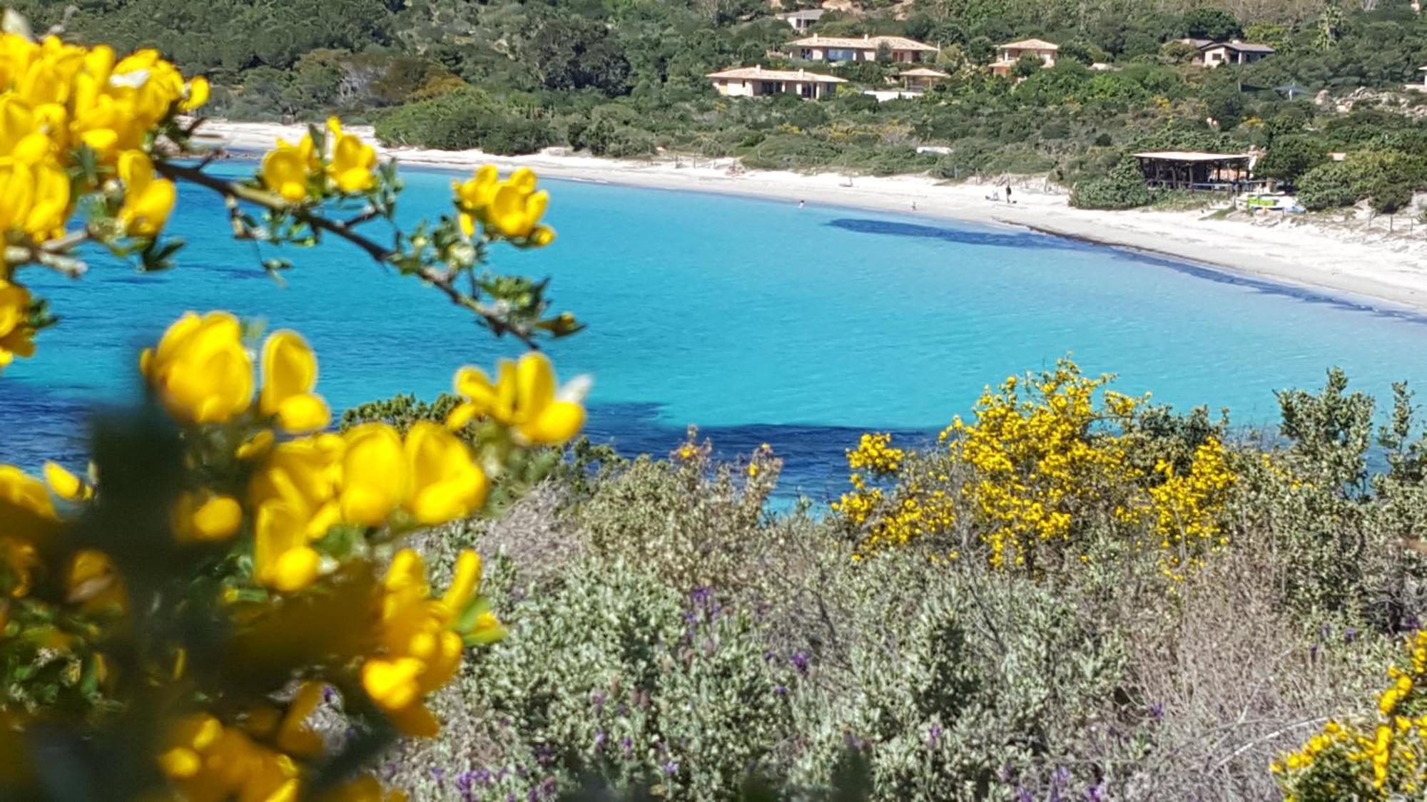 Locations Residence Rocca Rossa Palombaggia Classees 3 Etoiles Porto-Vecchio  Luaran gambar